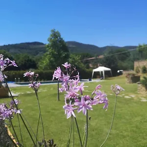 Bed & Breakfast Alba Morus Sentiti A Casa Nel Cuo